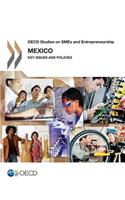 OECD Studies on Smes and Entrepreneurship Mexico