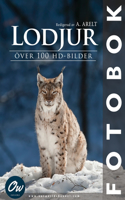 Lodjur