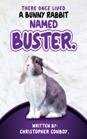 There Once Lived a Bunny Rabbit Named Buster