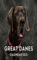 Great Danes
