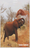 Indian Elephant 2021 Wall Calendar