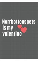 Norrbottenspets is my valentine: For Norrbottenspets Dog Fans