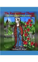 Rose without Thorns