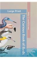 The Curious Book of Birds: Large Print