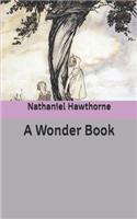 A Wonder Book