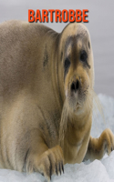 Bartrobbe