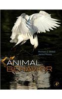 Animal Behavior