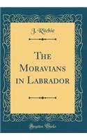 The Moravians in Labrador (Classic Reprint)