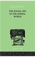 The Social Life In The Animal World