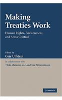 Making Treaties Work