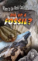 Dig Up a Fossil?