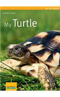 My Turtle