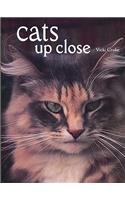 Cats Up Close