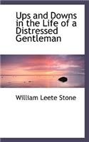 Ups and Downs in the Life of a Distressed Gentleman