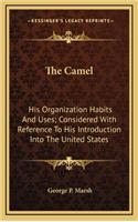 The Camel