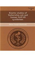 Kinetic Studies of Escherichia Coli and Human Saicar Synthetase