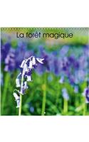 La Foret Magique 2018