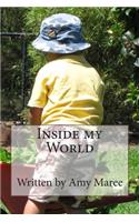 Inside My World