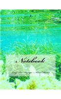 Notebook - Large Size - 100 pages - Nature Collection