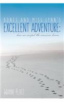 Bones and Miss Lynn's Excellent Adventure: : How We Escaped the American Dream(English)