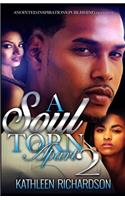 Soul Torn Apart 2