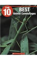 The 10 Best Animal Camouflages