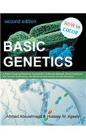 Basic Genetics