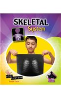 Skeletal System