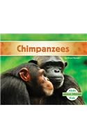 Chimpanzees: (Animal Friends)