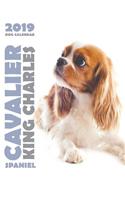 Cavalier King Charles Spaniel 2019 Dog Calendar