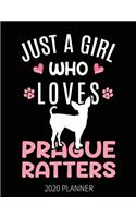 Just A Girl Who Loves Prague Ratters 2020 Planner: Prague Ratter Dog Weekly Planner Includes Daily Planner & Monthly Overview - Personal Organizer With 2020 Calendar - 8.5x11 Inch White Paper