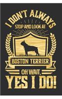 I Don't Always Stop and Look At Boston Terrier OH Wait, Yes I Do!