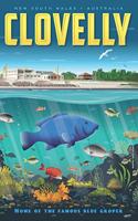 Clovelly Home of the Blue Groper
