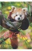 Red Panda: Animal, Nature Notebook, Journal, Diary (110 Pages, Blank, 6 x 9)