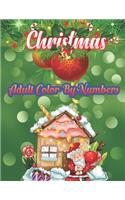 Christmas Adult Color By Numbers