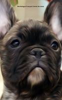 Bouledogue Français Carnet de notes: Journal A5 ligné original de 119 pages- Une belle idée de cadeau pour les amoureux des animaux
