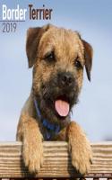 Border Terrier Calendar 2019