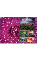 Scotland, a Celebration