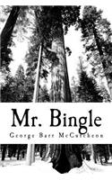 Mr. Bingle