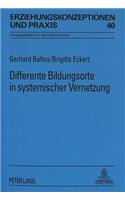 Differente Bildungsorte in systemischer Vernetzung