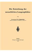 Entstehung Der Menschlichen Lungenphthise