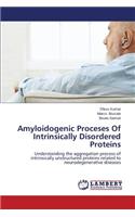 Amyloidogenic Proceses of Intrinsically Disordered Proteins