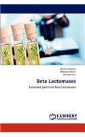 Beta Lactamases