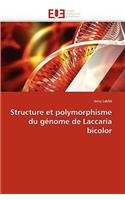 Structure Et Polymorphisme Du Génome de Laccaria Bicolor