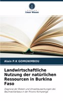 Landwirtschaftliche Nutzung der natürlichen Ressourcen in Burkina Faso