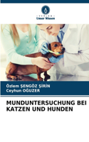 Munduntersuchung Bei Katzen Und Hunden
