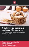 A cultivar de mandioca malgaxe Menarevaka