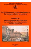 Some Non-Heterocyclic Polycyclic Aromatic Hydrocarbons and Some Related Exposures: v. 92 Iarc Monographs on the Evaluation of Carcinogenic Risks to Humans(IARC Monographs)