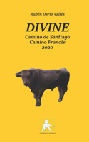 DIVINE. Camino de Santiago. Camino Francés. Año 2020