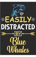 Easily distracted by Blue Whales